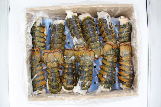 20LB LOBSTER TAILS, FREE SHIPPING